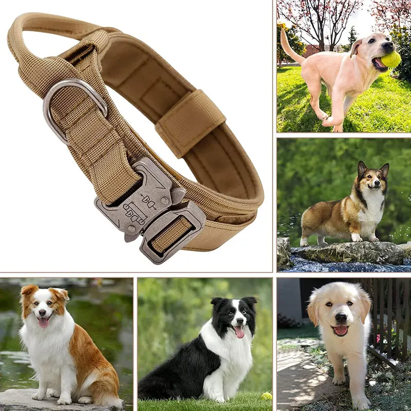 Adjustable Dog Collar