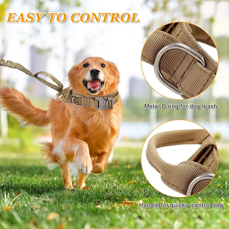 Adjustable Dog Collar
