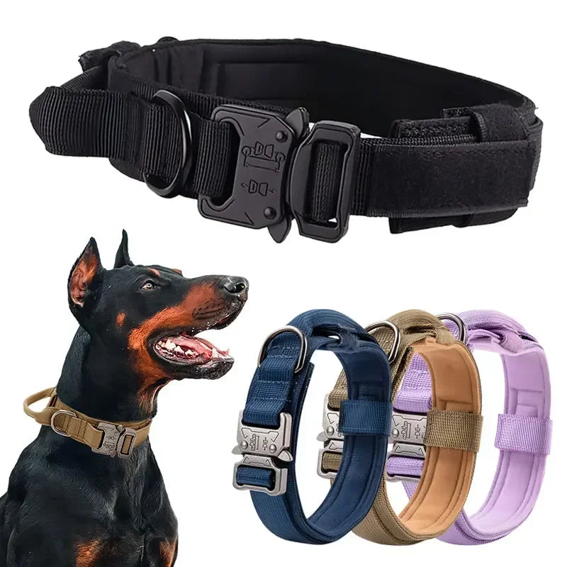 Adjustable Dog Collar