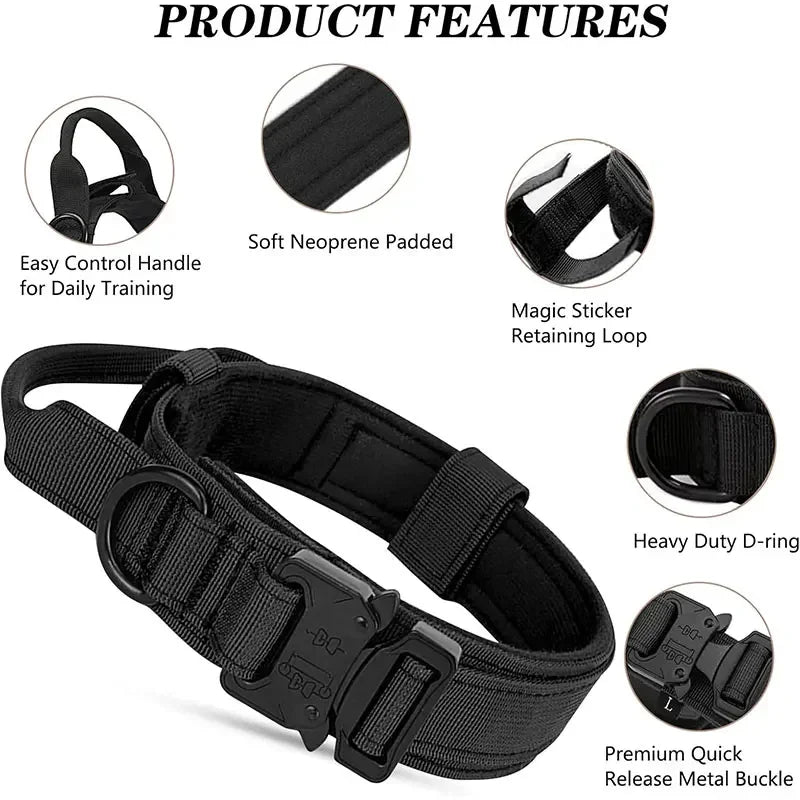 Adjustable Dog Collar